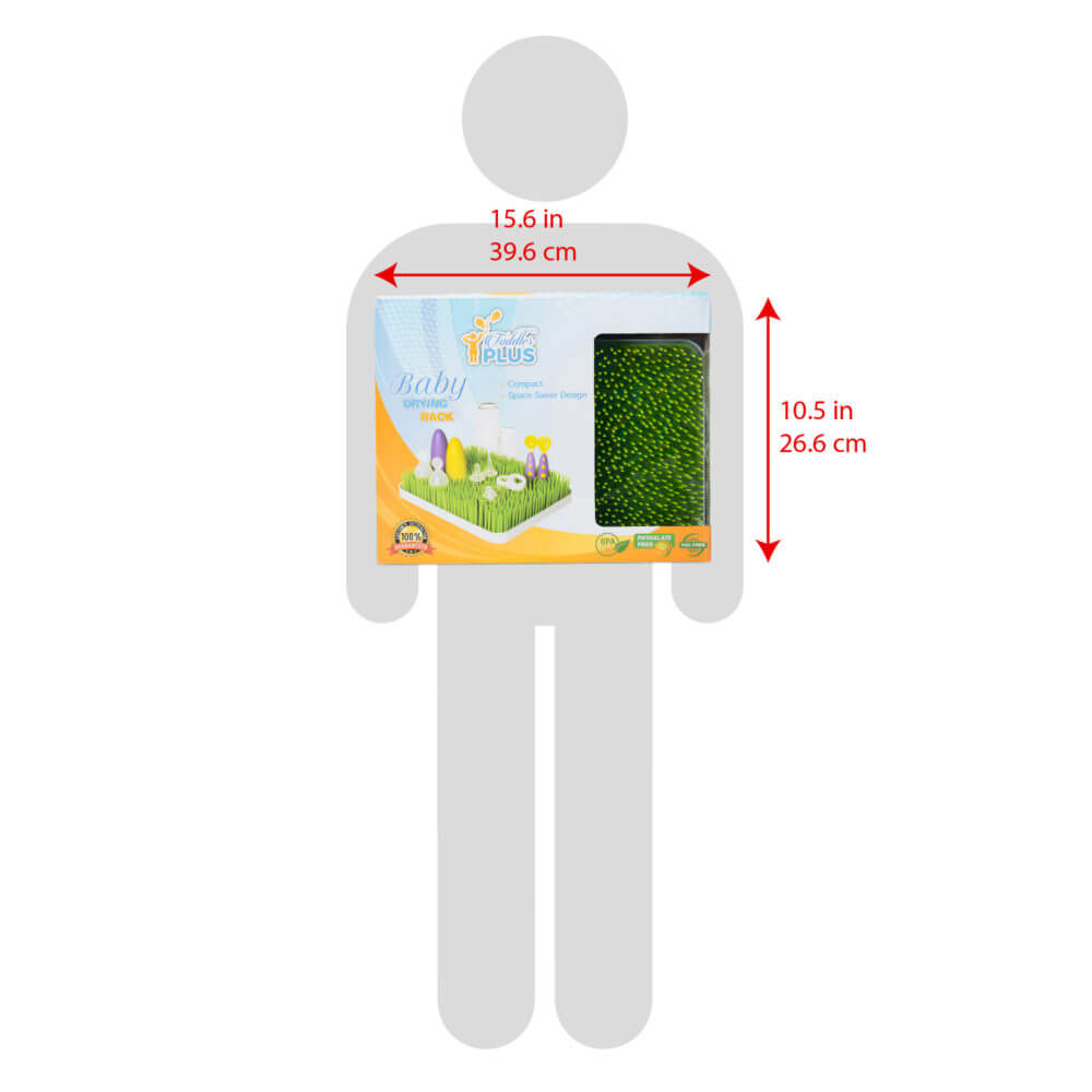 Canadian Toronto Amazon Infographic Designer