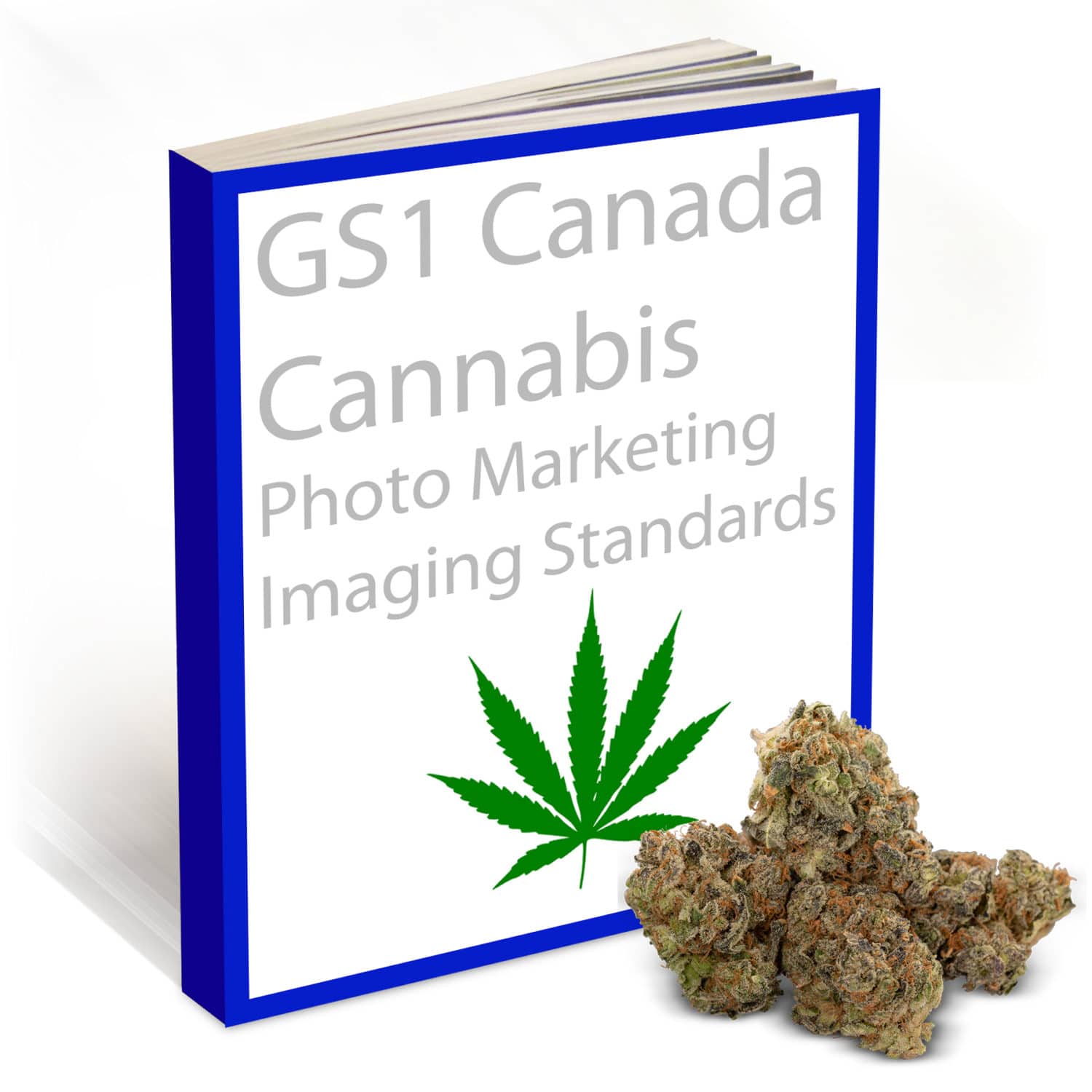 Toronto Cannabis Photography Following OCS GS1 Canada Imaging Standards